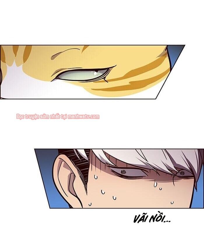 Hóa Thân Thành Mèo Chap 49 - Next Chap 50