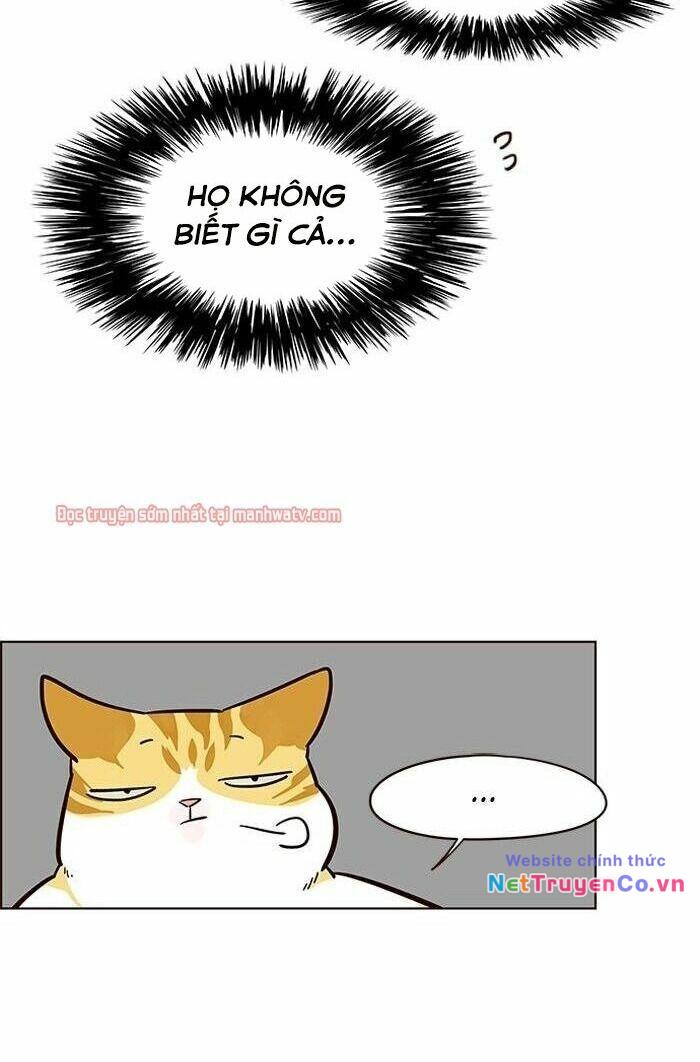 Hóa Thân Thành Mèo Chap 49 - Next Chap 50