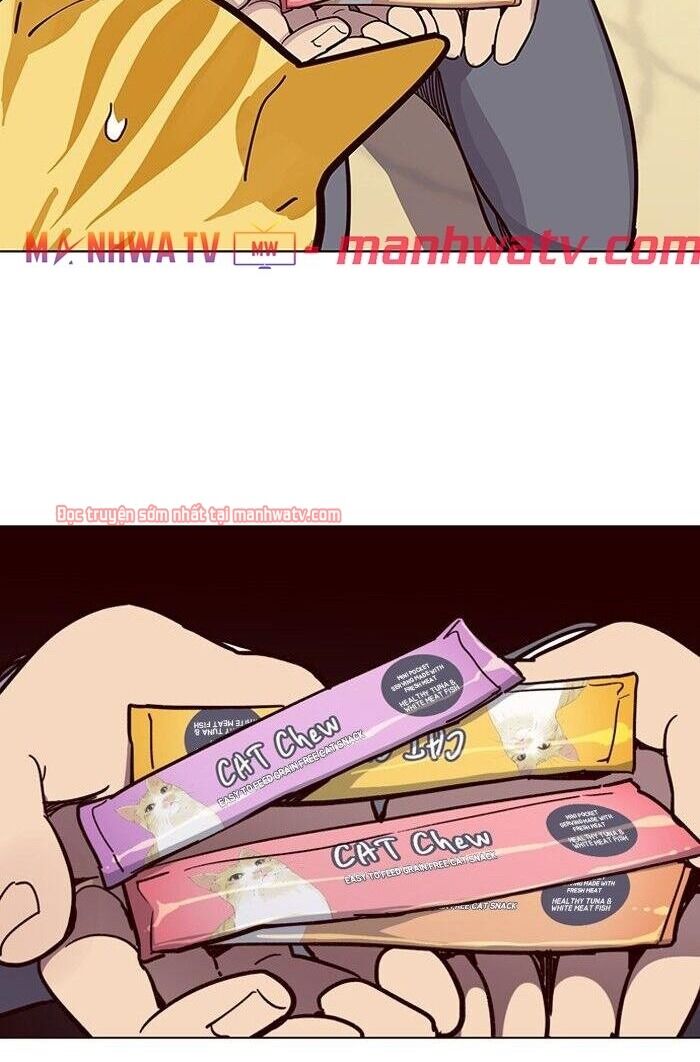 Hóa Thân Thành Mèo Chap 49 - Next Chap 50