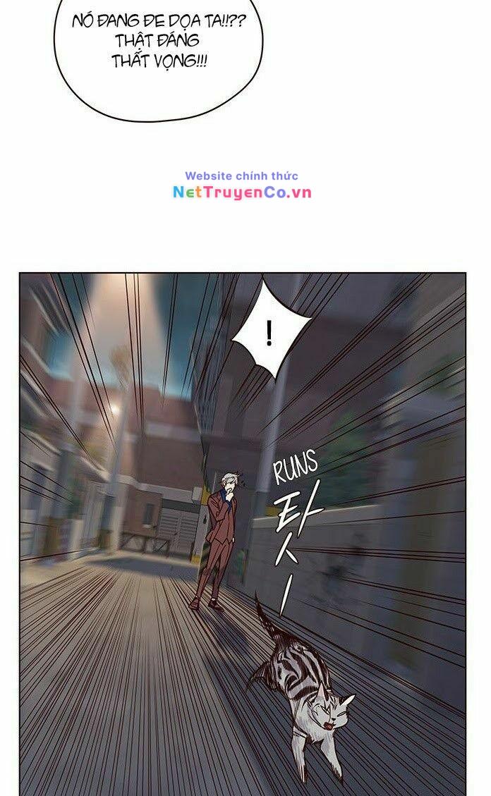 Hóa Thân Thành Mèo Chap 5 - Next Chap 6