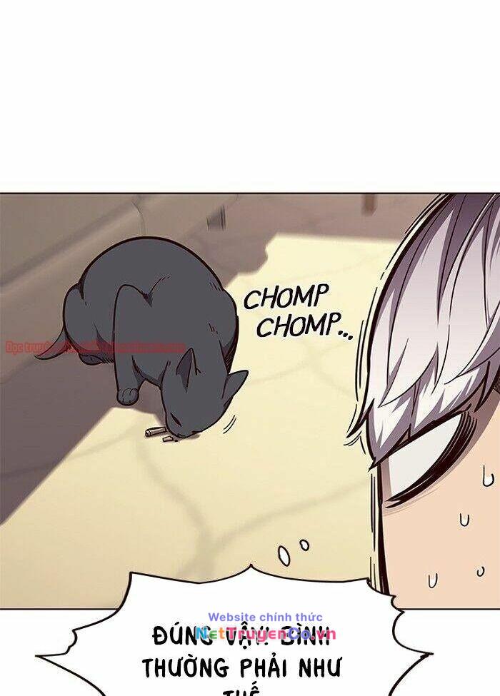 Hóa Thân Thành Mèo Chap 50 - Next Chap 51