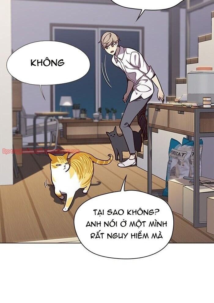 Hóa Thân Thành Mèo Chap 51 - Next Chap 52
