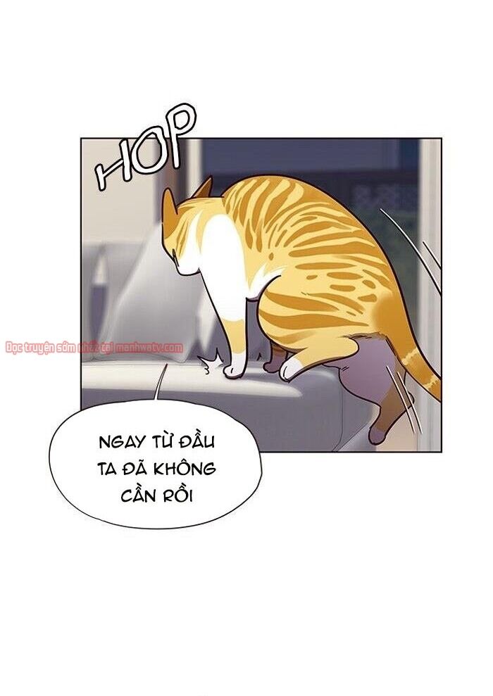 Hóa Thân Thành Mèo Chap 51 - Next Chap 52