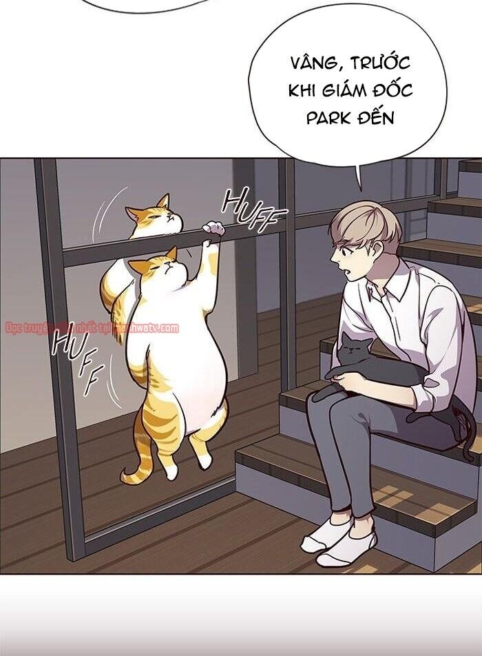 Hóa Thân Thành Mèo Chap 51 - Next Chap 52