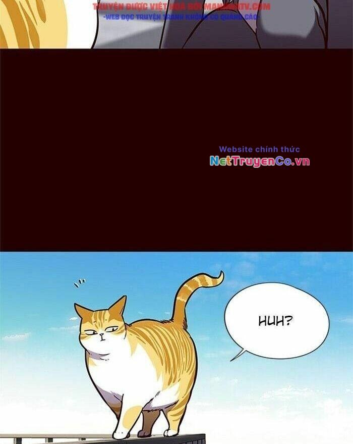 Hóa Thân Thành Mèo Chap 52 - Next Chap 53