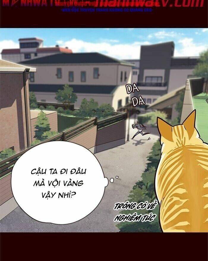 Hóa Thân Thành Mèo Chap 52 - Next Chap 53