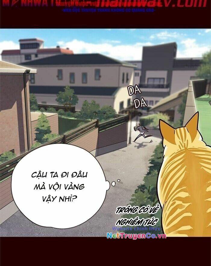 Hóa Thân Thành Mèo Chap 52 - Next Chap 53