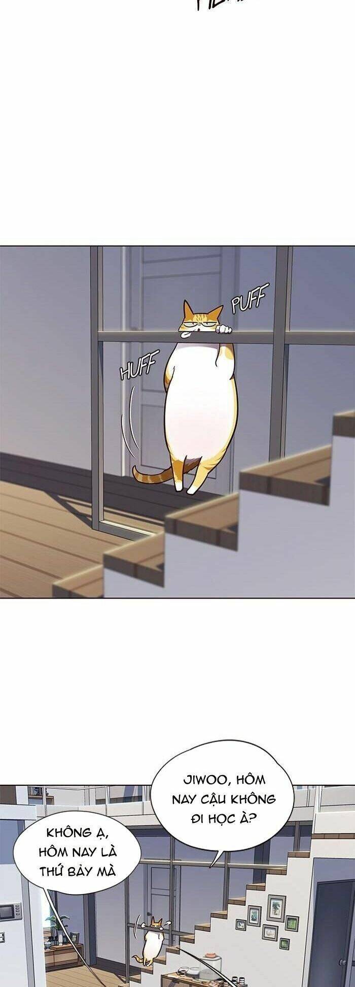 Hóa Thân Thành Mèo Chap 55 - Next Chap 56