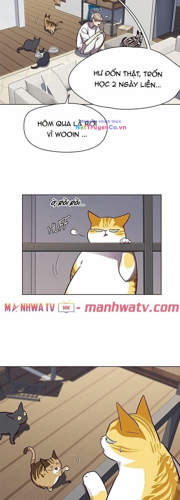 Hóa Thân Thành Mèo Chap 55 - Next Chap 56