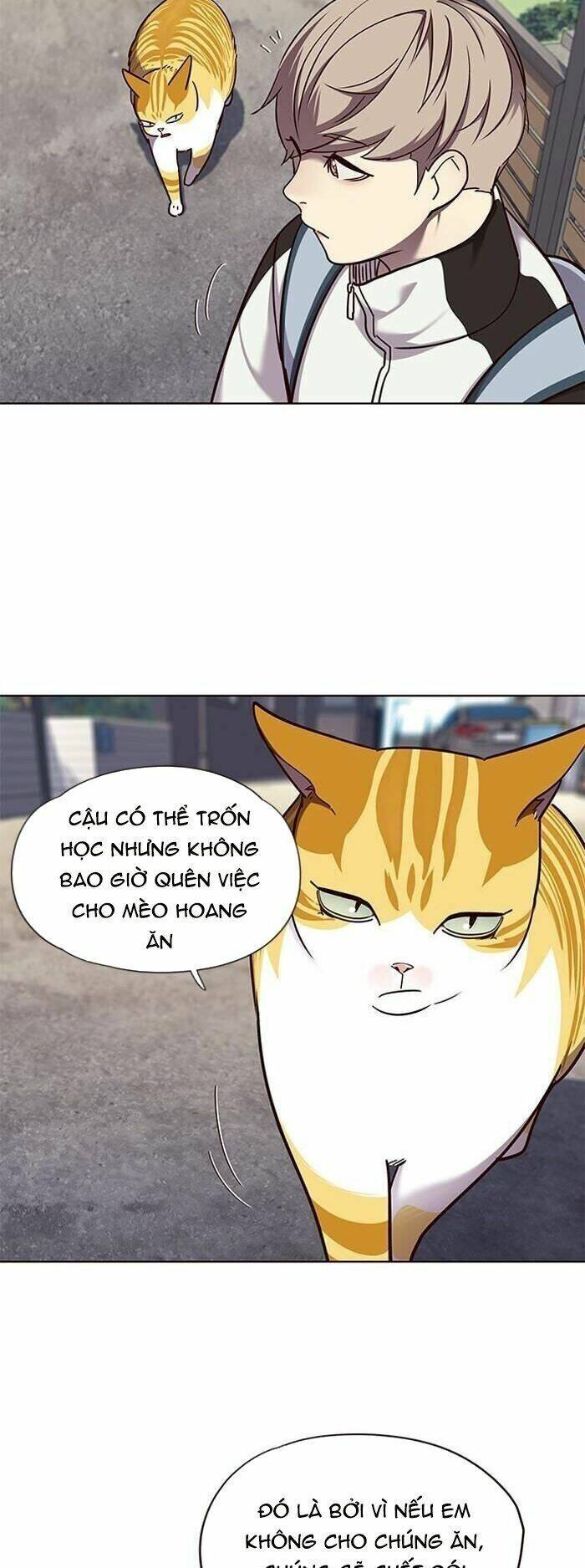 Hóa Thân Thành Mèo Chap 55 - Next Chap 56