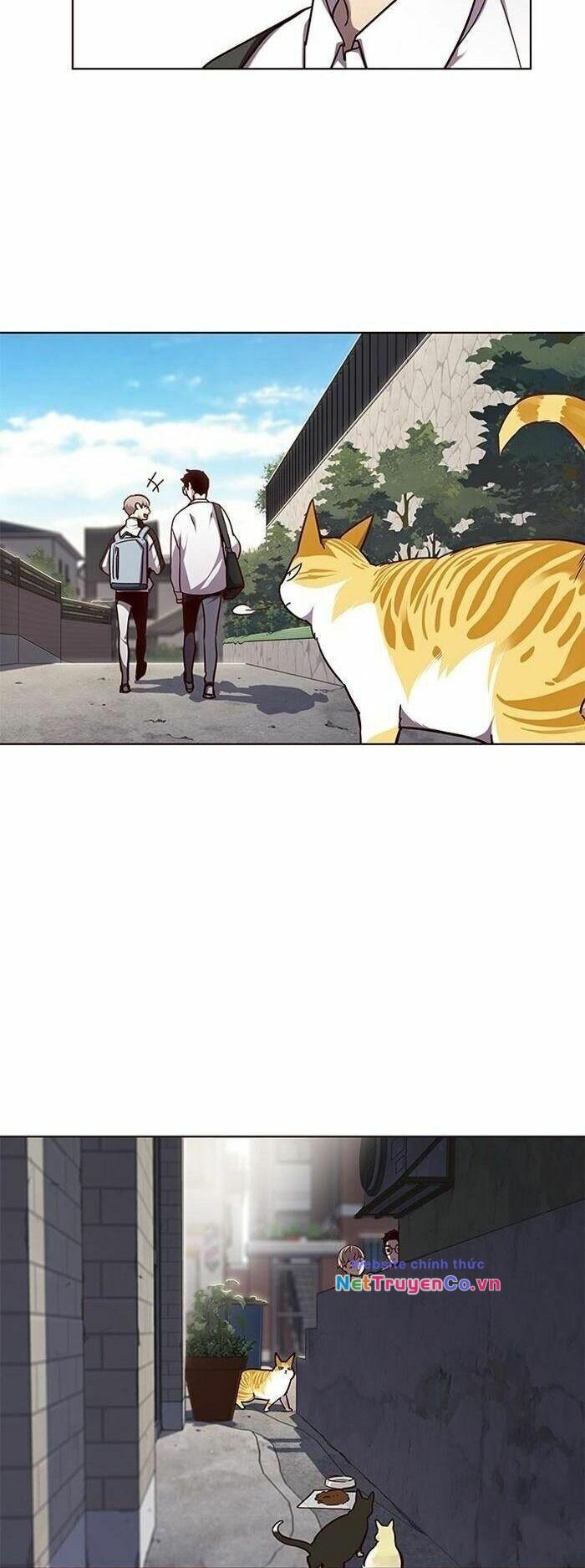 Hóa Thân Thành Mèo Chap 55 - Next Chap 56