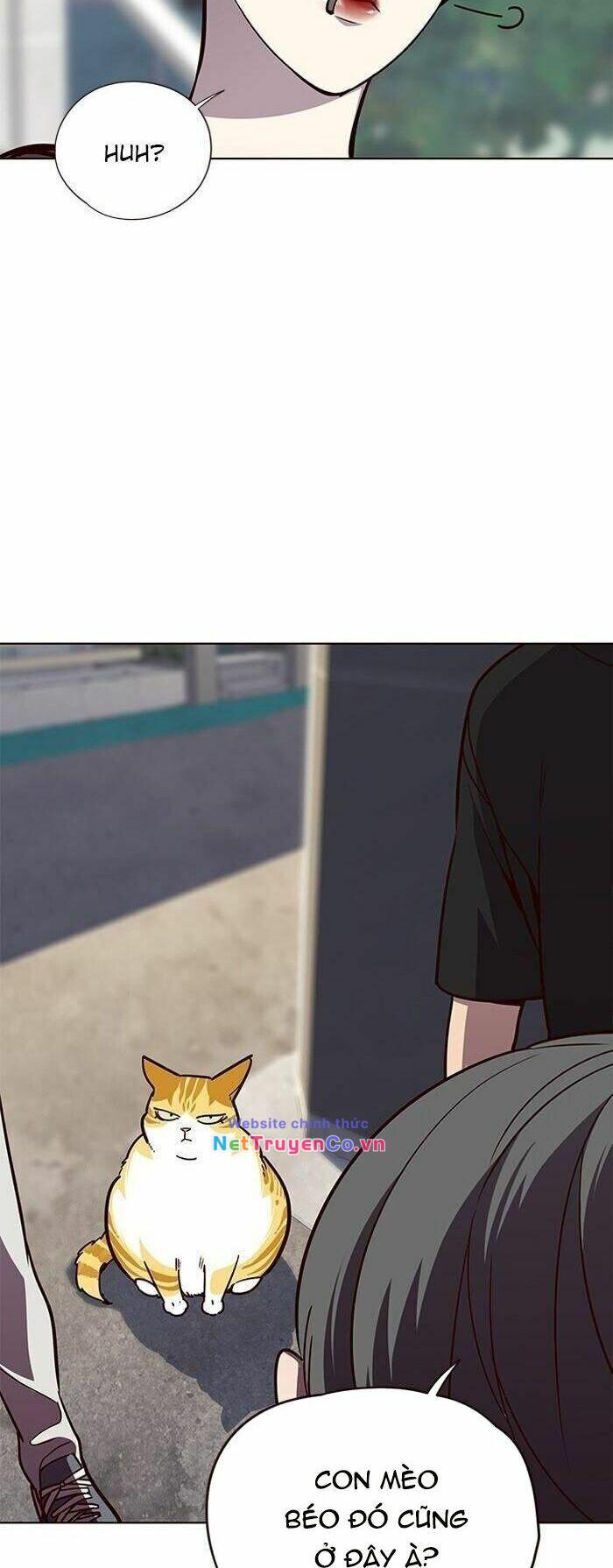 Hóa Thân Thành Mèo Chap 55 - Next Chap 56