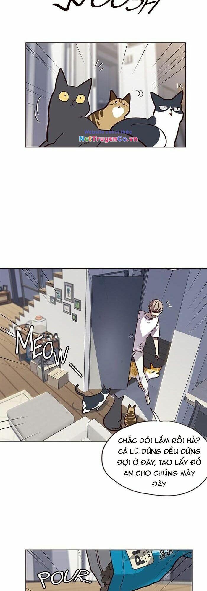 Hóa Thân Thành Mèo Chap 55 - Next Chap 56