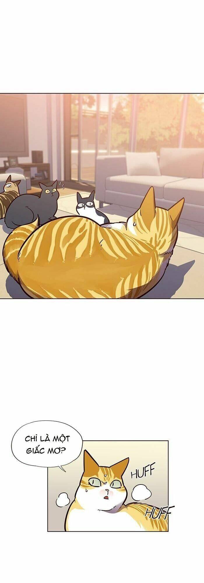 Hóa Thân Thành Mèo Chap 56 - Next Chap 57