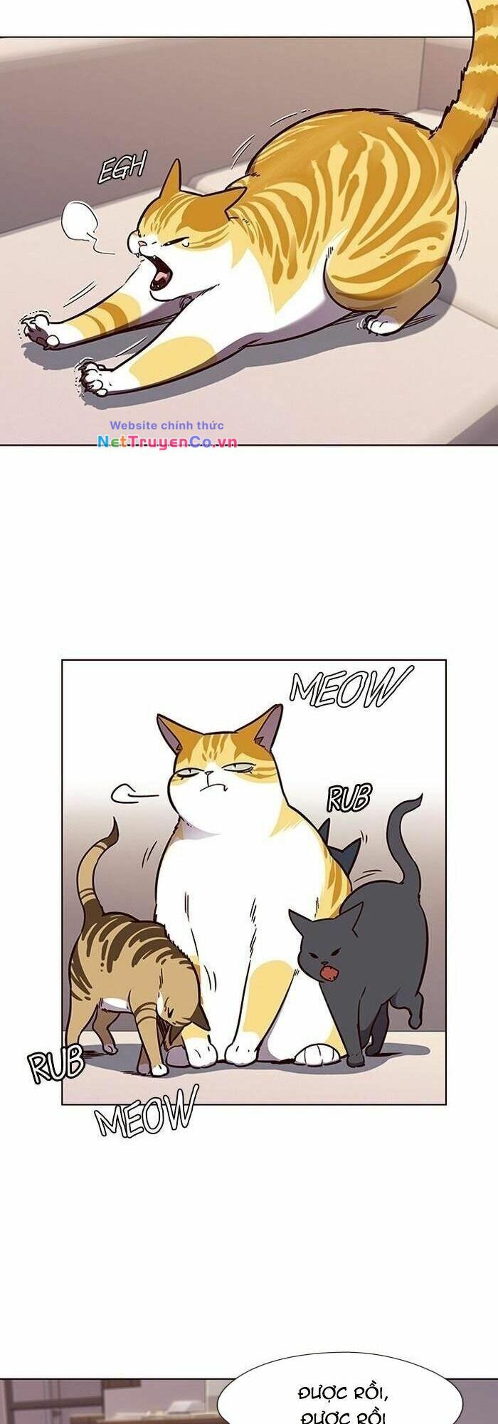 Hóa Thân Thành Mèo Chap 56 - Next Chap 57