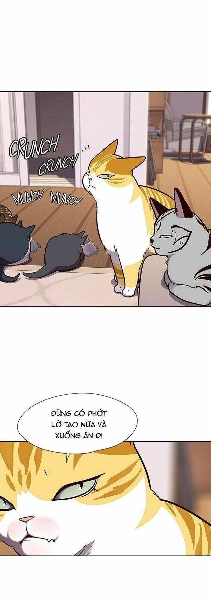 Hóa Thân Thành Mèo Chap 56 - Next Chap 57