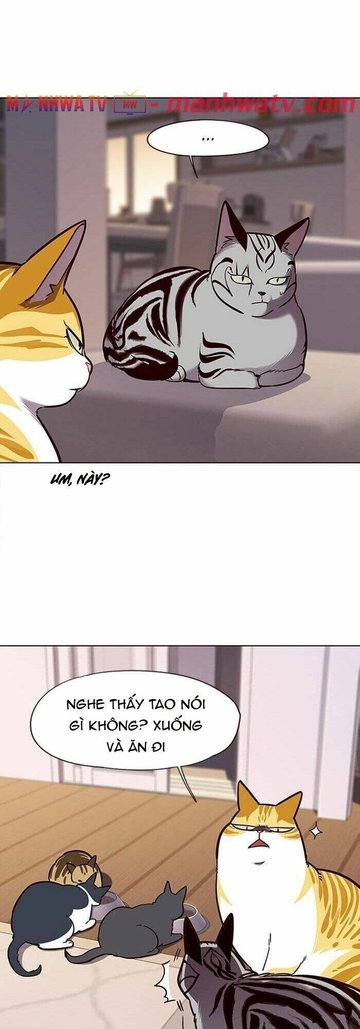Hóa Thân Thành Mèo Chap 56 - Next Chap 57