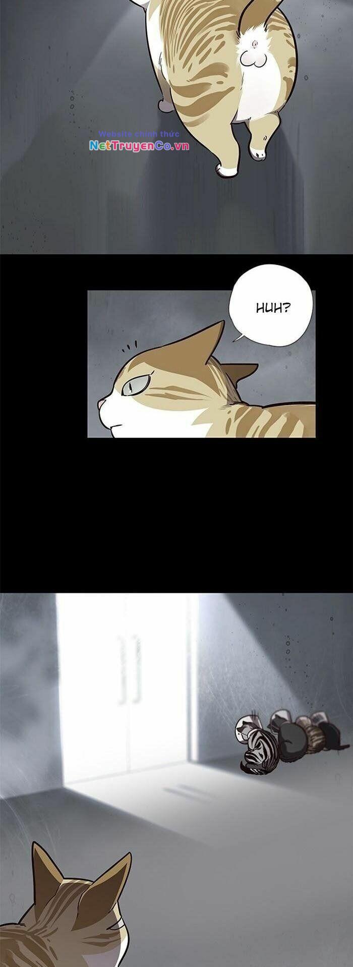 Hóa Thân Thành Mèo Chap 56 - Next Chap 57