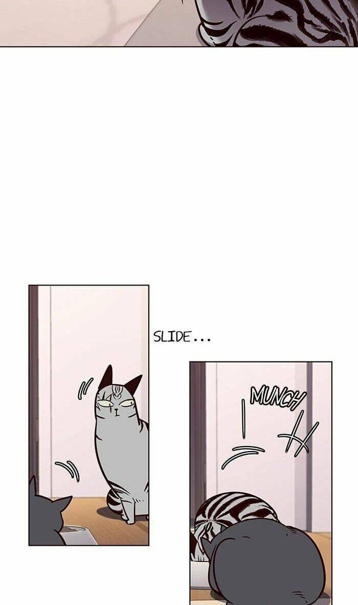 Hóa Thân Thành Mèo Chap 56 - Next Chap 57