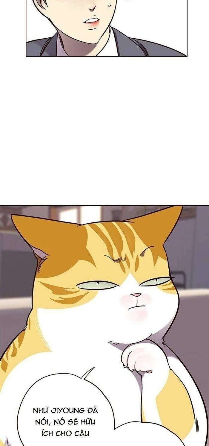 Hóa Thân Thành Mèo Chap 56 - Next Chap 57