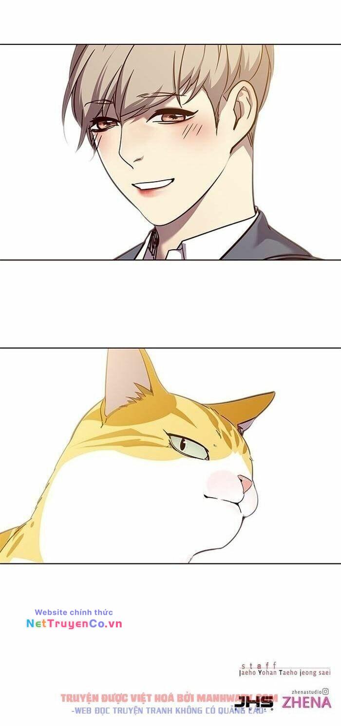Hóa Thân Thành Mèo Chap 56 - Next Chap 57
