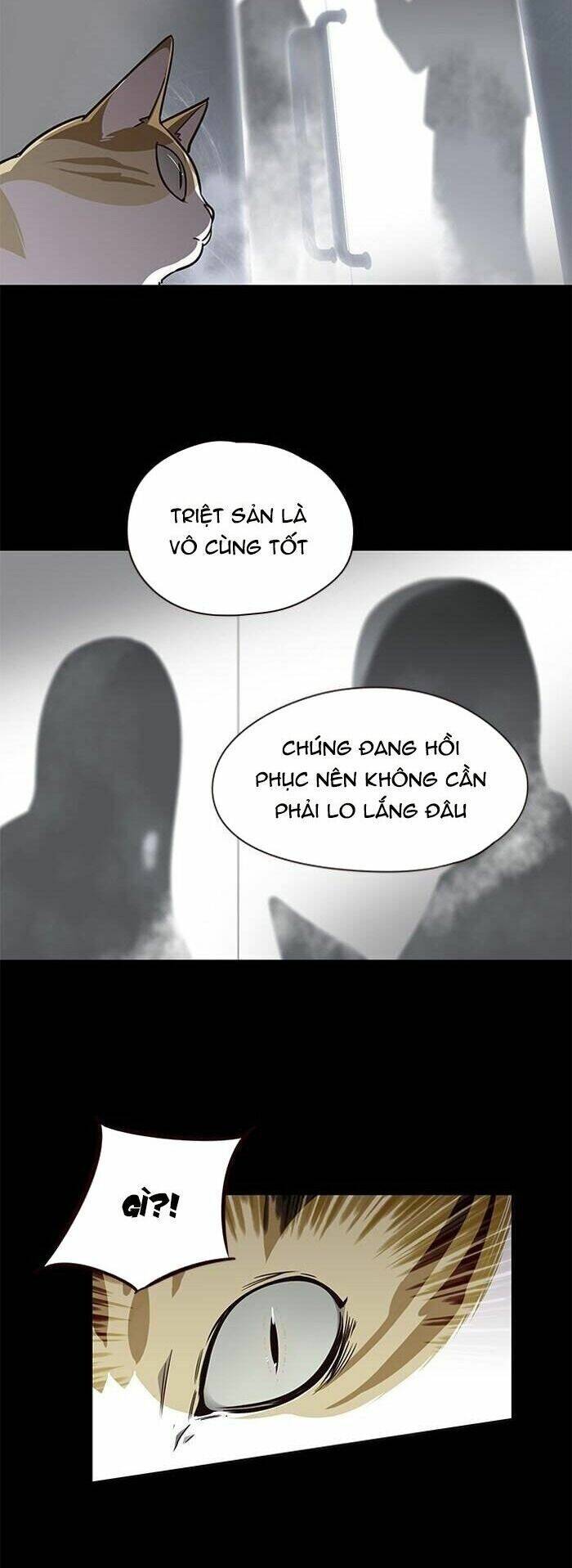 Hóa Thân Thành Mèo Chap 56 - Next Chap 57