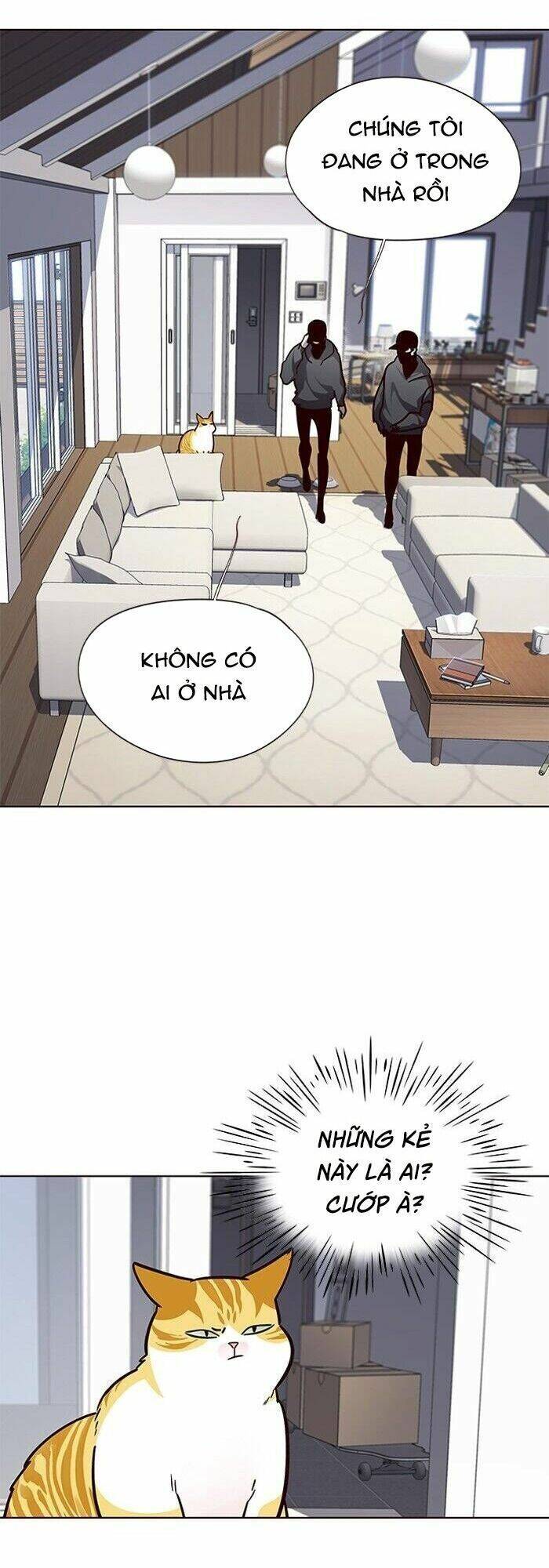 Hóa Thân Thành Mèo Chap 57 - Next Chap 58