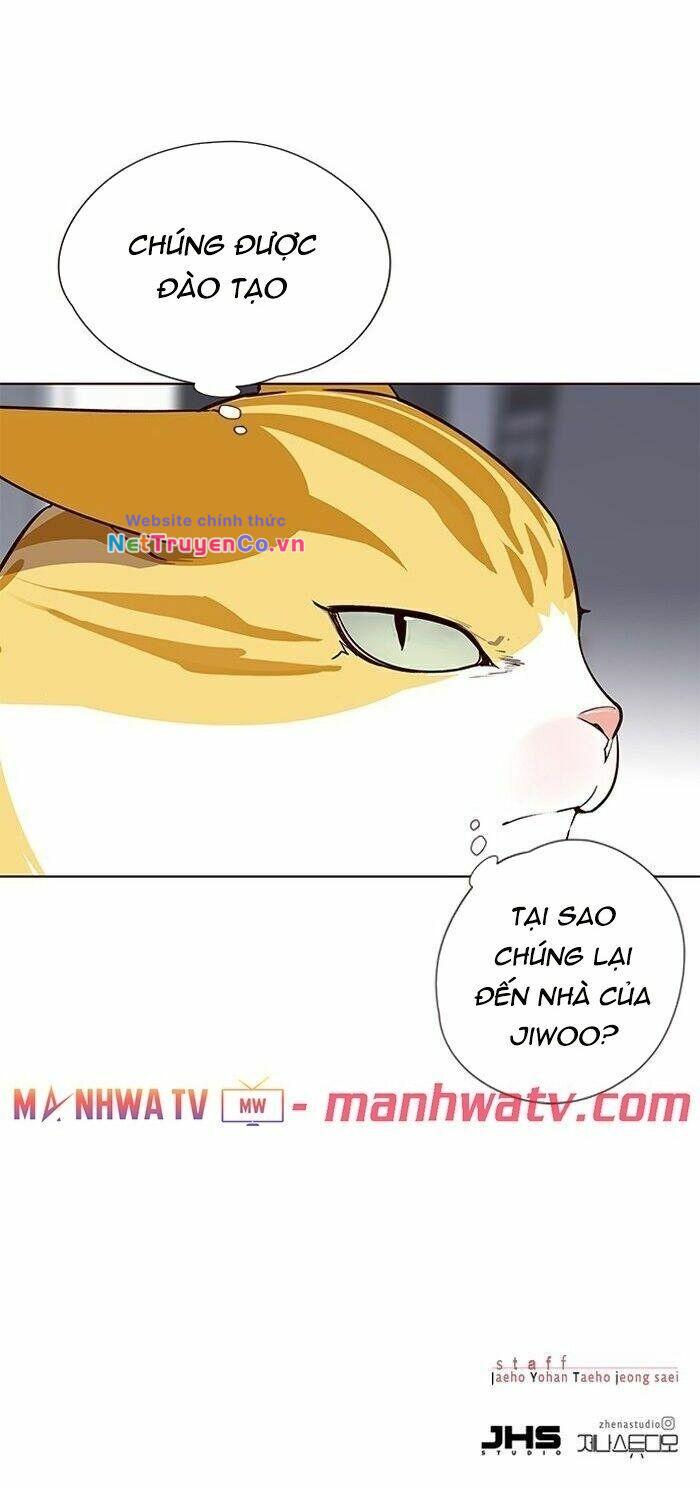 Hóa Thân Thành Mèo Chap 57 - Next Chap 58