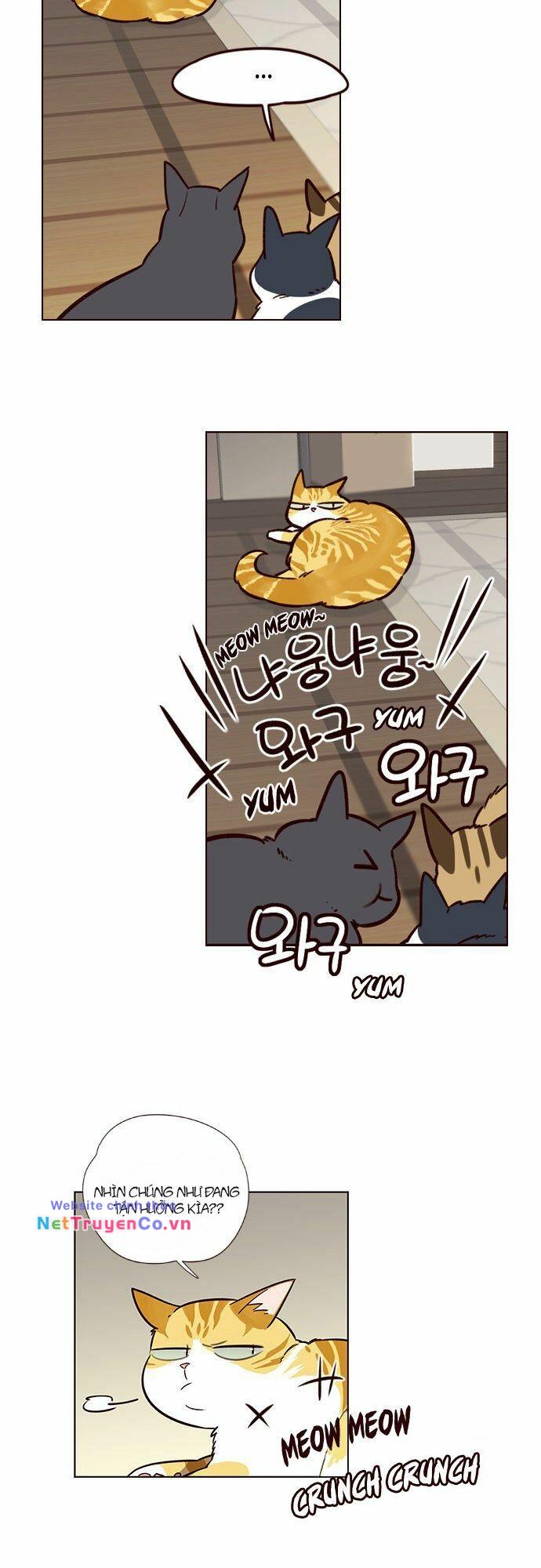 Hóa Thân Thành Mèo Chap 6 - Next Chap 7