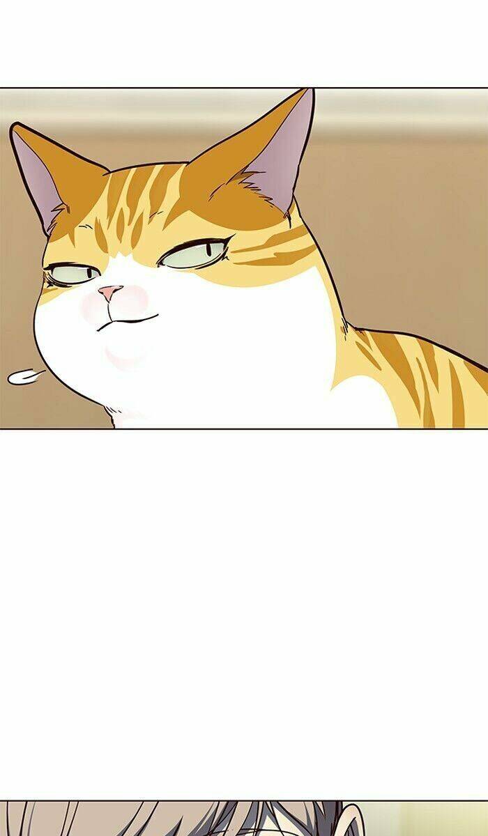 Hóa Thân Thành Mèo Chap 61 - Next Chap 62