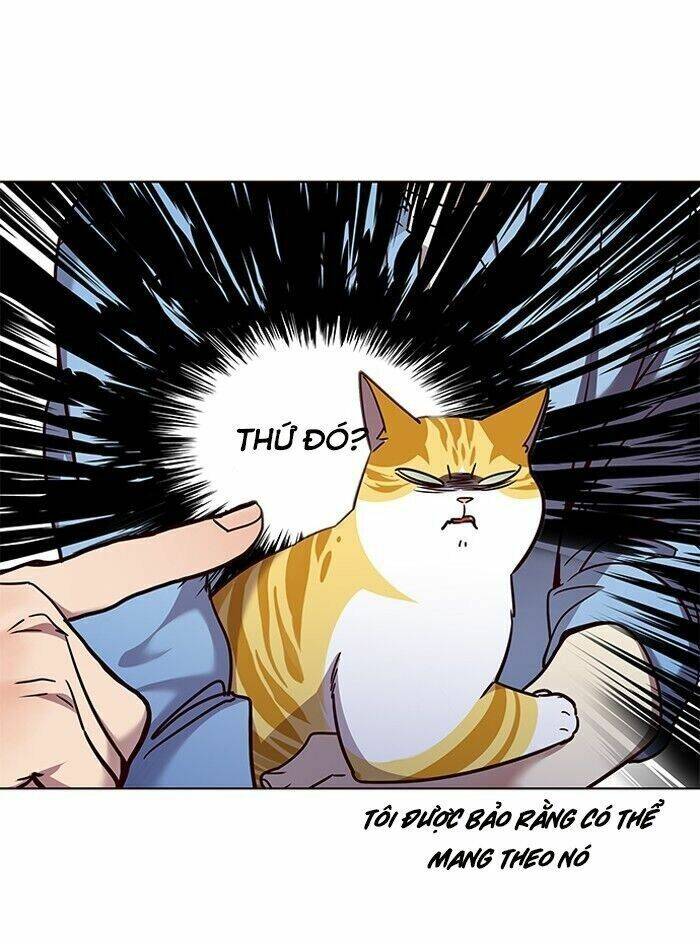 Hóa Thân Thành Mèo Chap 62 - Next Chap 63