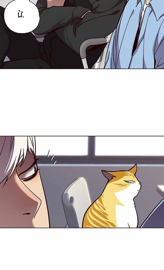 Hóa Thân Thành Mèo Chap 62 - Next Chap 63