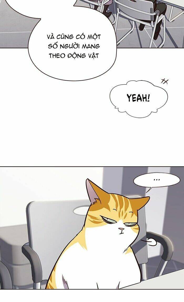 Hóa Thân Thành Mèo Chap 62 - Next Chap 63