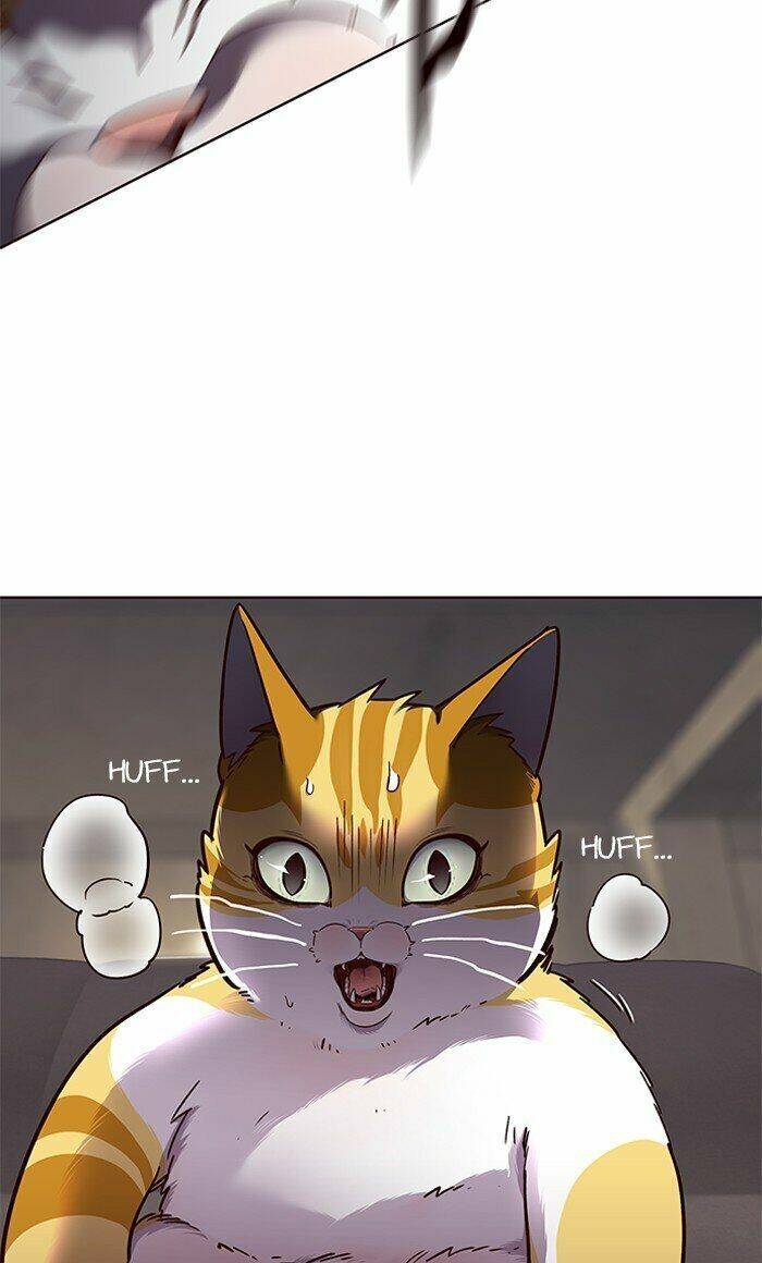 Hóa Thân Thành Mèo Chap 65 - Next Chap 66