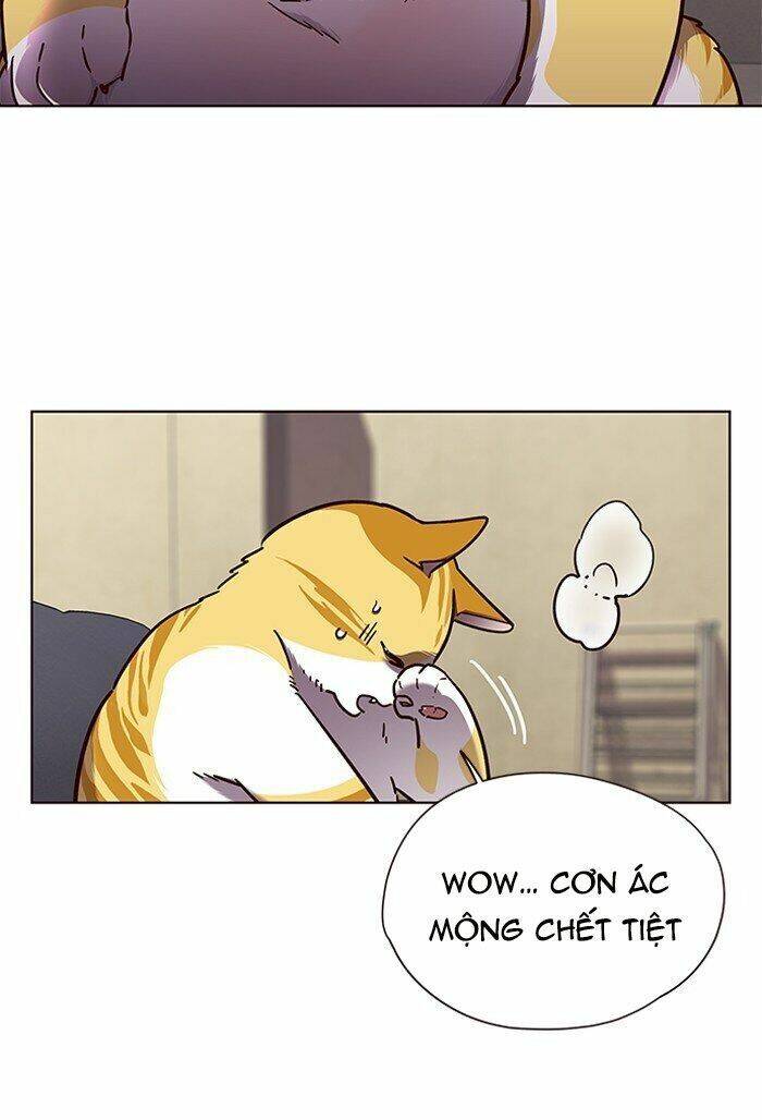 Hóa Thân Thành Mèo Chap 65 - Next Chap 66