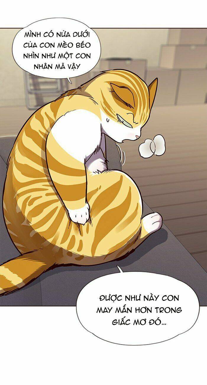 Hóa Thân Thành Mèo Chap 65 - Next Chap 66