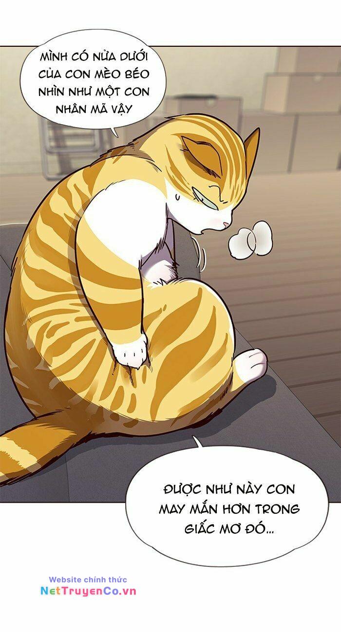 Hóa Thân Thành Mèo Chap 65 - Next Chap 66