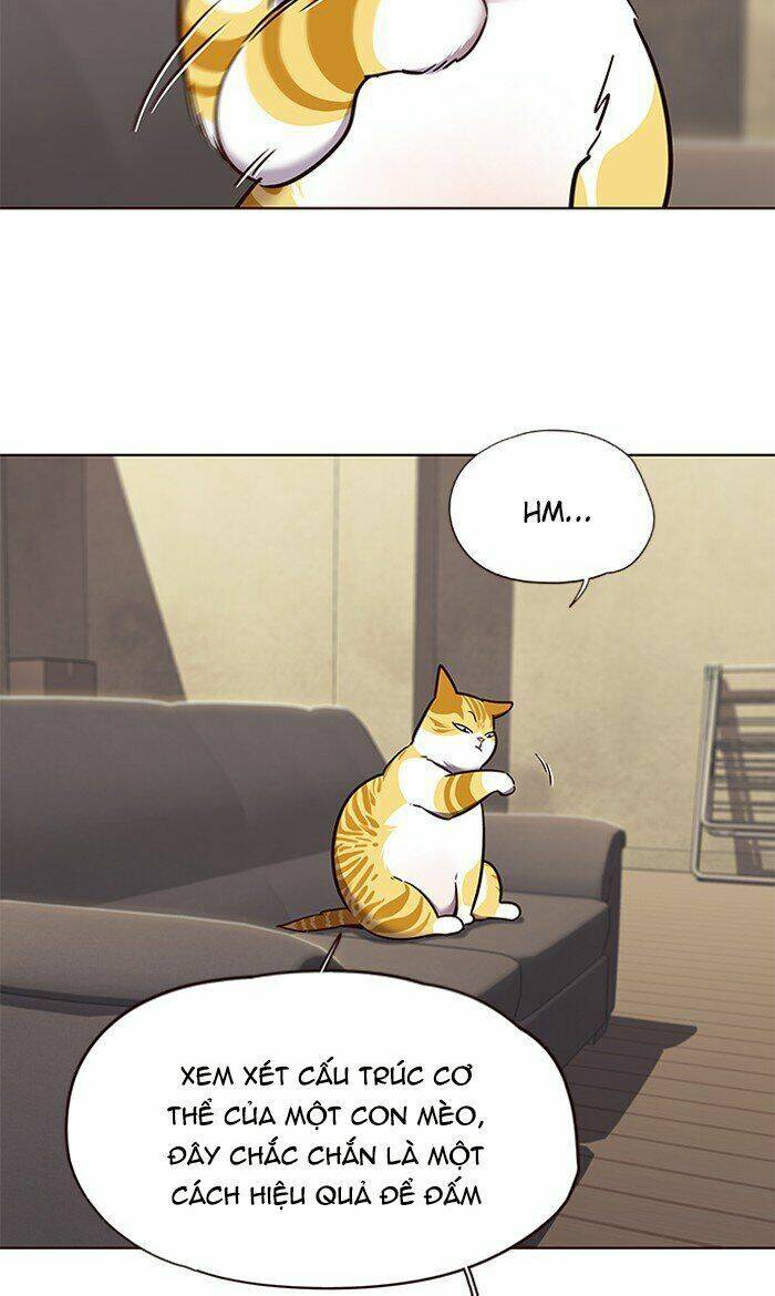 Hóa Thân Thành Mèo Chap 65 - Next Chap 66