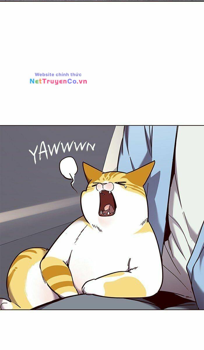 Hóa Thân Thành Mèo Chap 67 - Next Chap 68