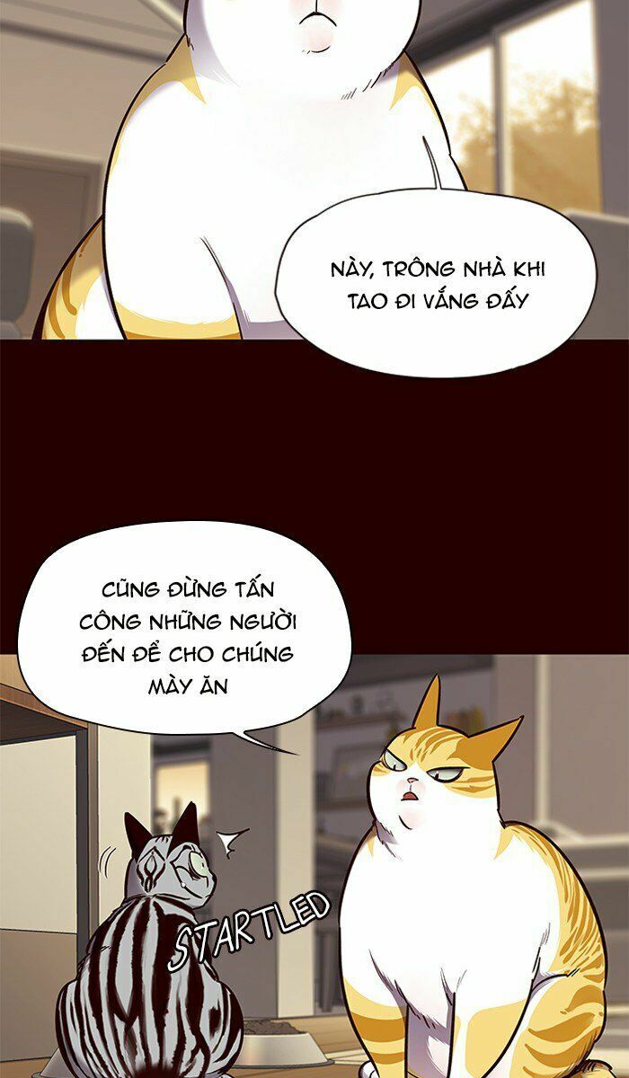 Hóa Thân Thành Mèo Chap 67 - Next Chap 68