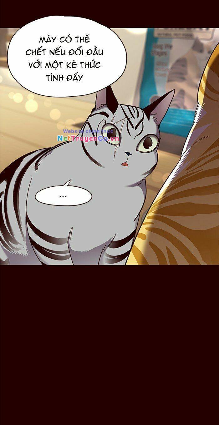 Hóa Thân Thành Mèo Chap 67 - Next Chap 68