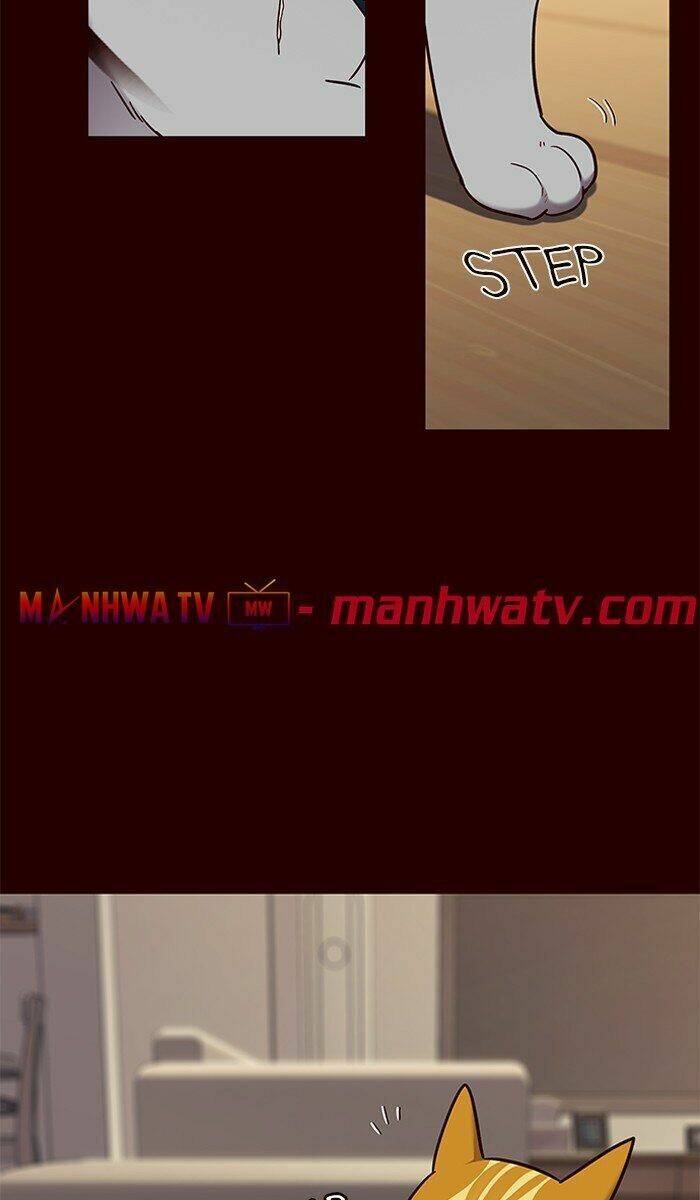 Hóa Thân Thành Mèo Chap 67 - Next Chap 68