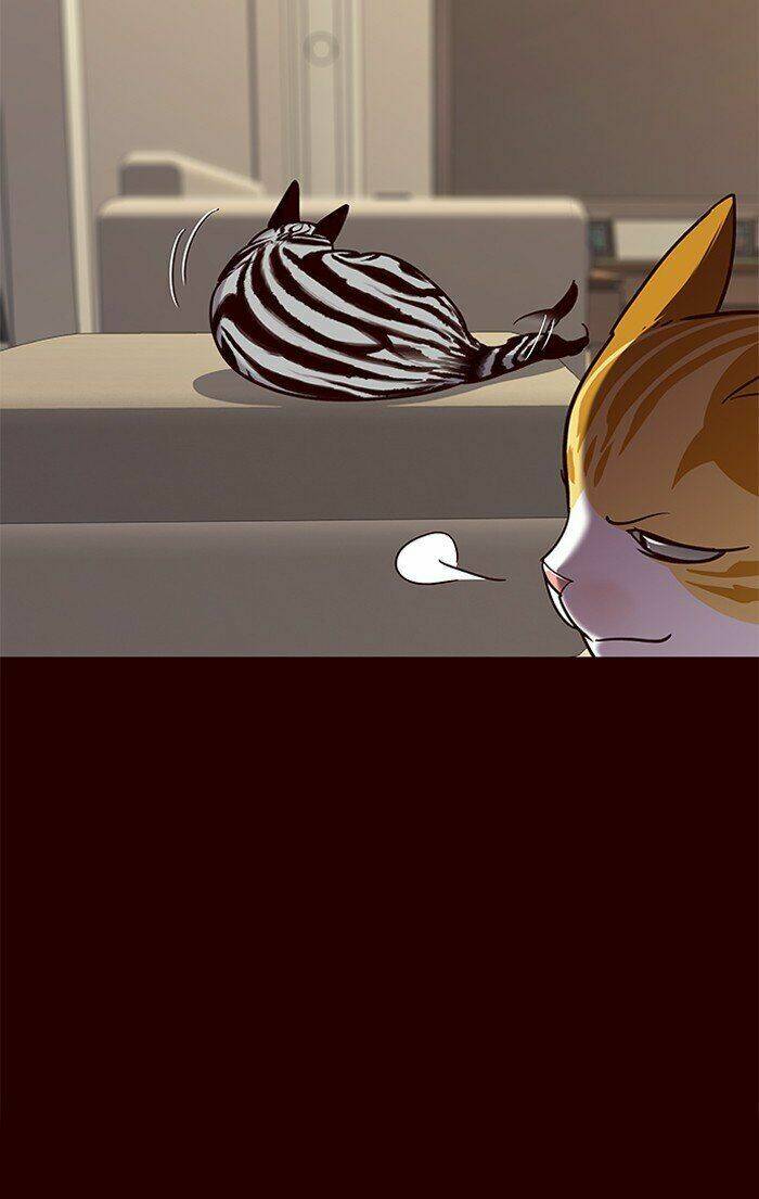 Hóa Thân Thành Mèo Chap 67 - Next Chap 68