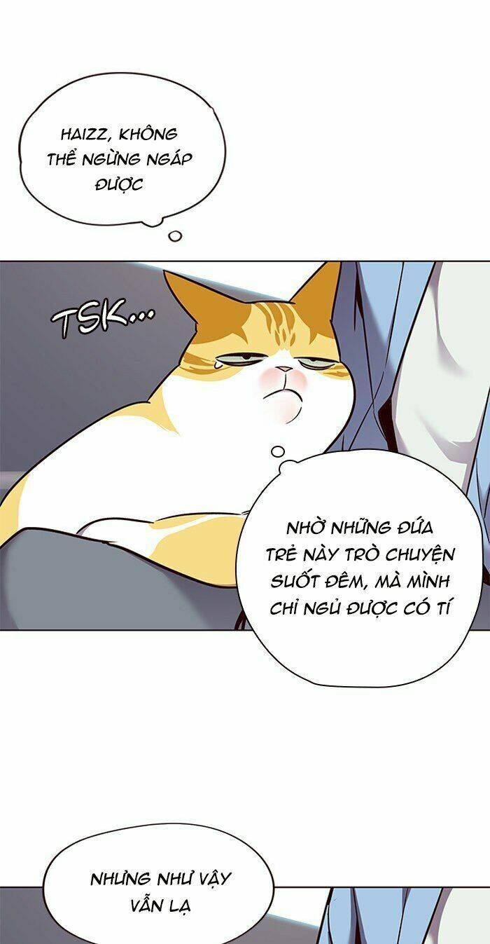 Hóa Thân Thành Mèo Chap 67 - Next Chap 68