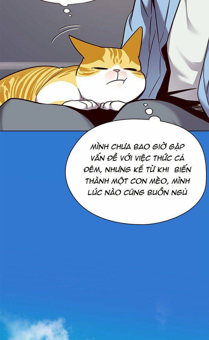 Hóa Thân Thành Mèo Chap 67 - Next Chap 68