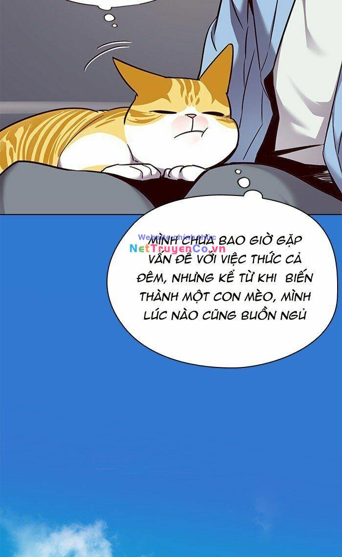 Hóa Thân Thành Mèo Chap 67 - Next Chap 68