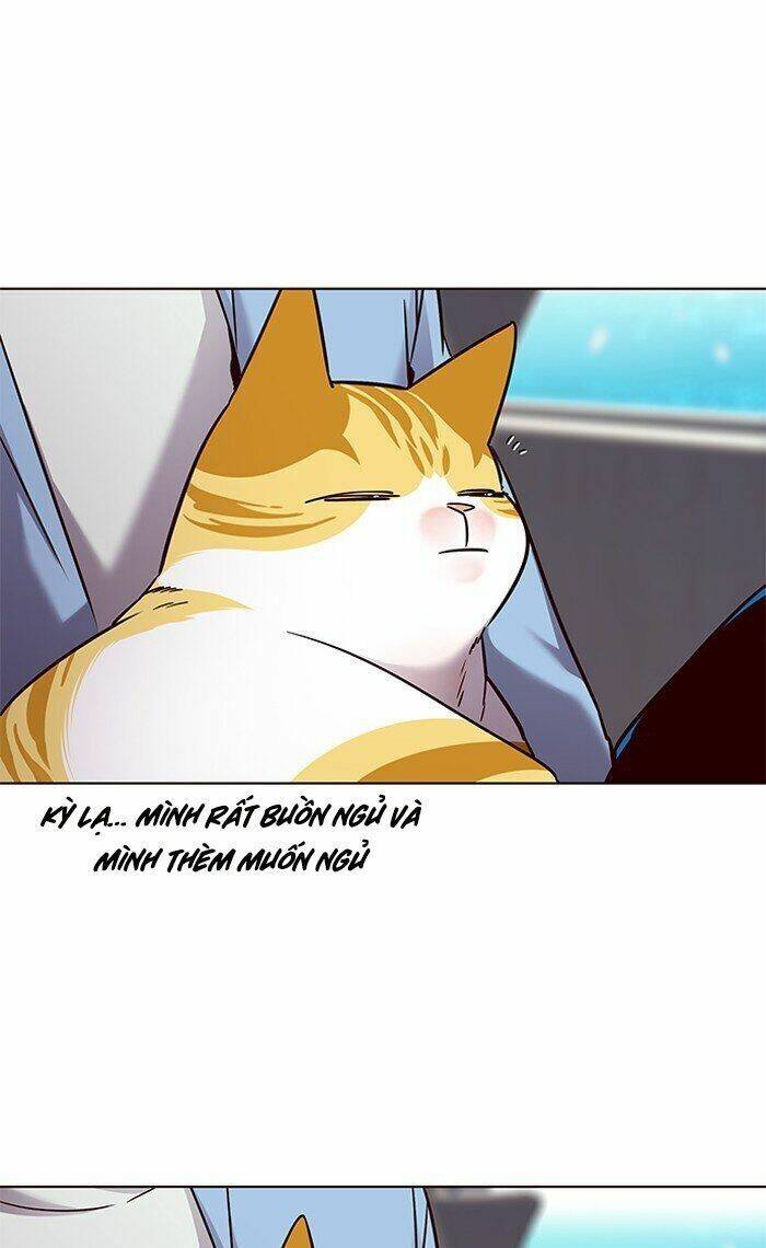 Hóa Thân Thành Mèo Chap 67 - Next Chap 68