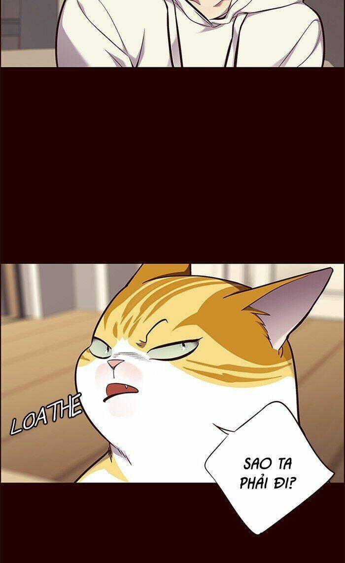 Hóa Thân Thành Mèo Chap 67 - Next Chap 68