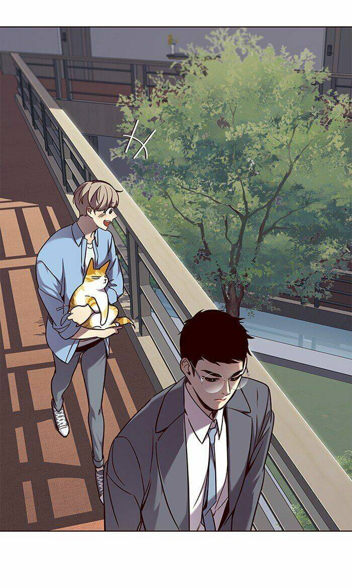 Hóa Thân Thành Mèo Chap 68 - Next Chap 69