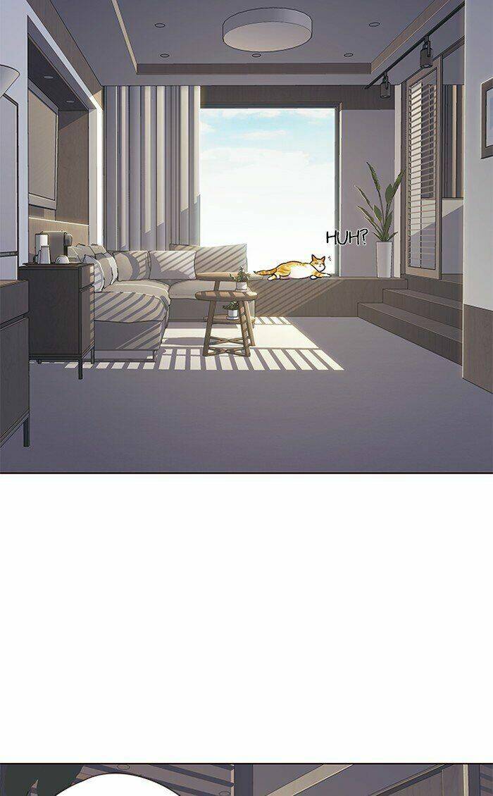 Hóa Thân Thành Mèo Chap 70 - Next Chap 71